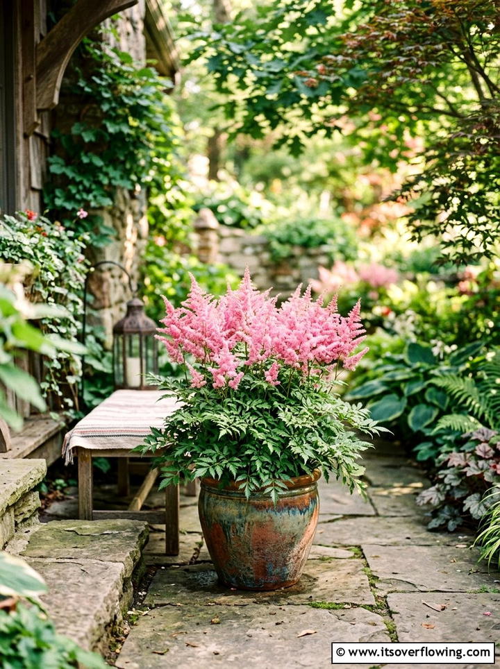 Astilbe Shade Container - 25 front porch ideas with shade plants
