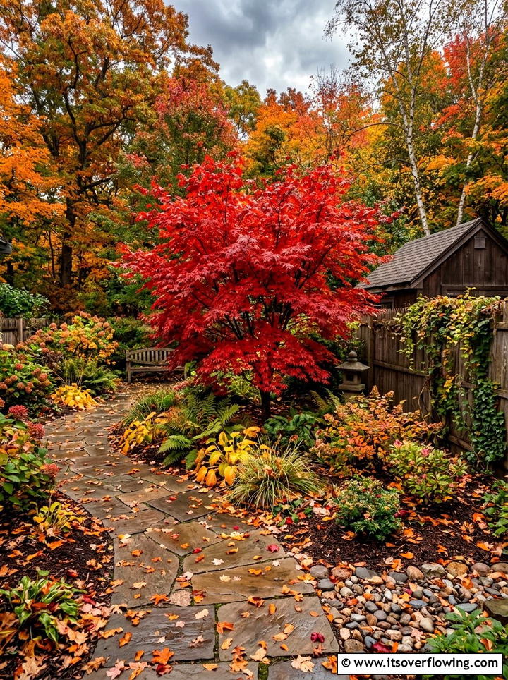 Autumn leaf color for small spaces - 25 small garden ideas for year round color