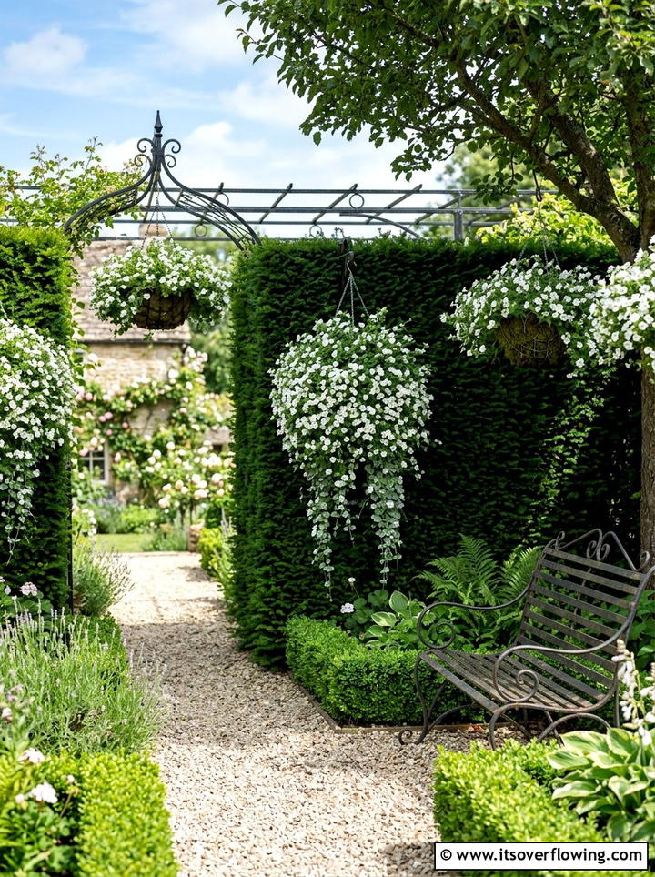 Bacopa White Trailing - 25 garden ideas with hanging baskets