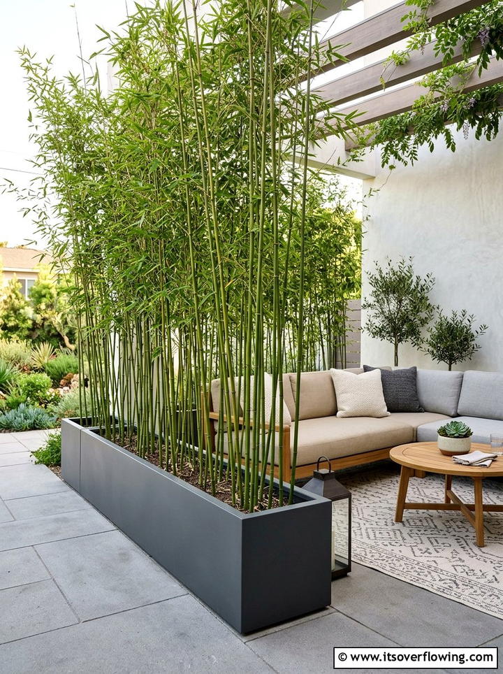 Bamboo Garden Screen - 25 creative garden ideas for patios