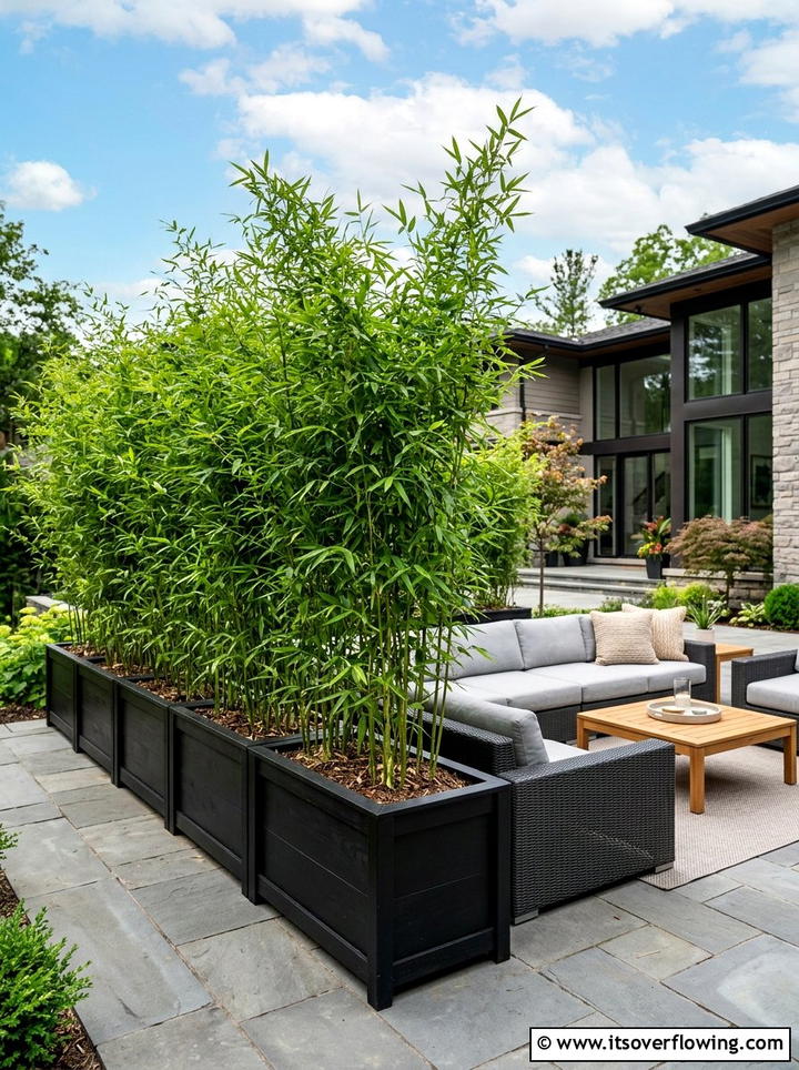 Bamboo Planter Privacy Wall - 25 backyard ideas with container garden