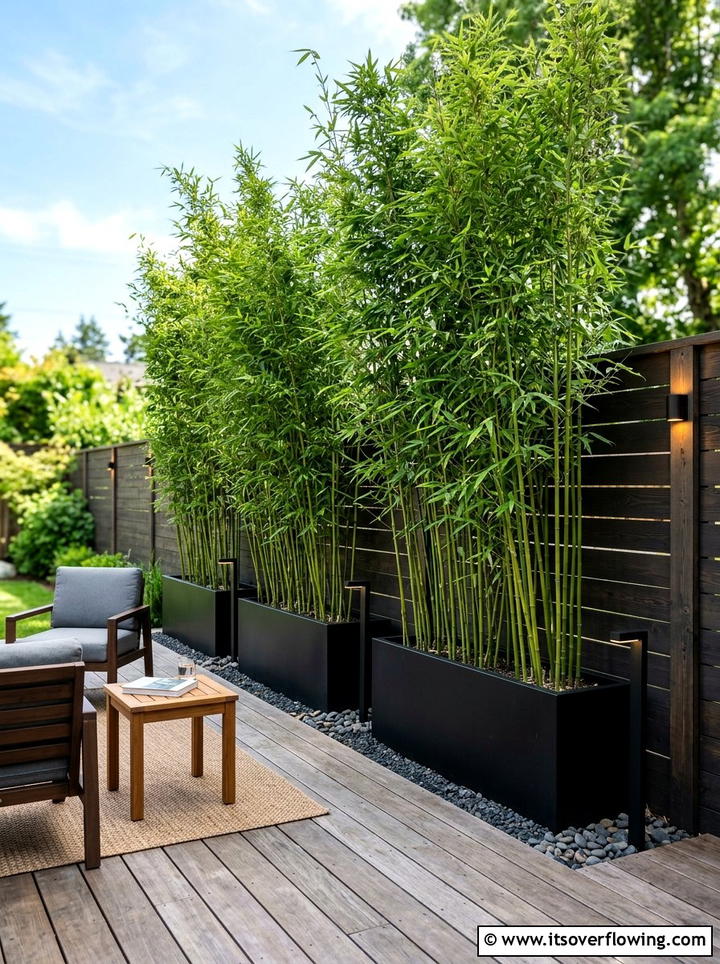 Bamboo Privacy Hedge - 25 garden ideas for townhouses