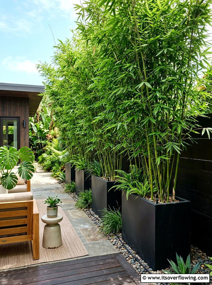 Bamboo Privacy Planters - 25 backyard decorating ideas with planters