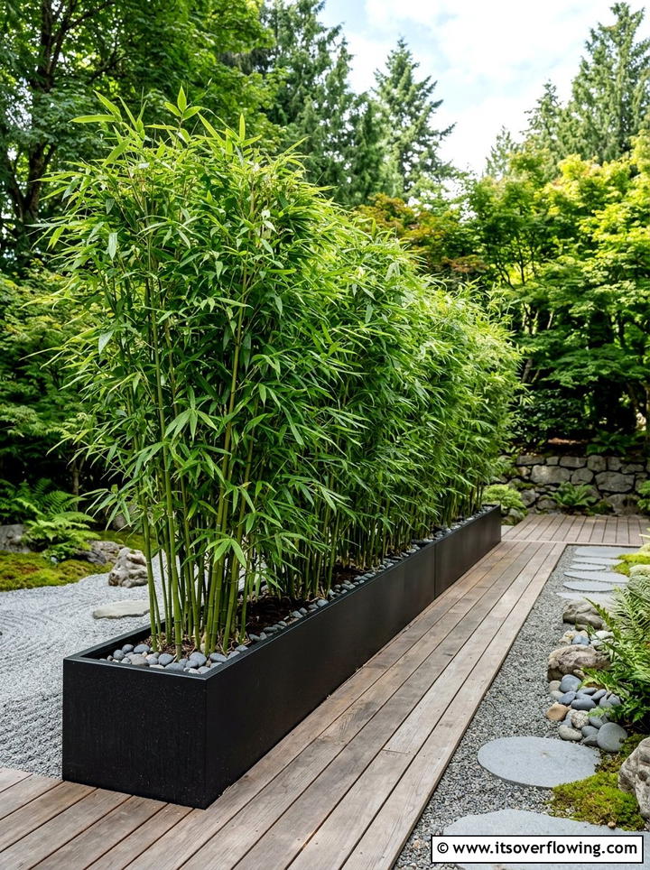 Bamboo Privacy Screen - 25 backyard ideas with border plants