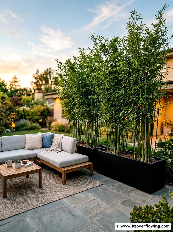 Bamboo Privacy Screen - 25 front porch ideas with plants