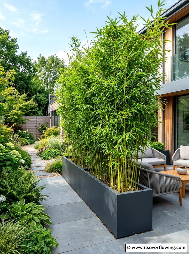 Bamboo Privacy Screen - 25 garden decor ideas for modern gardens