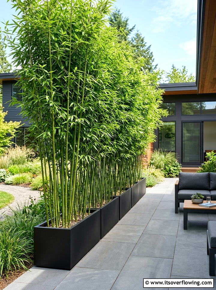 Bamboo Privacy Screen - 25 small garden ideas with minimalist style