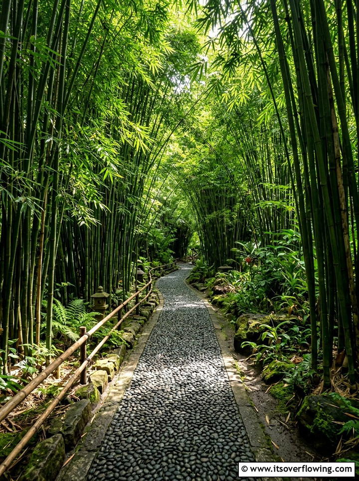 Bamboo Shaded Walkway - 25 garden design ideas for narrow pathways