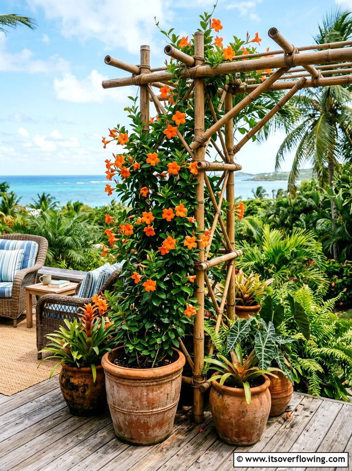 Bamboo Trellis For Potted Plants - 25 small garden ideas with trellis