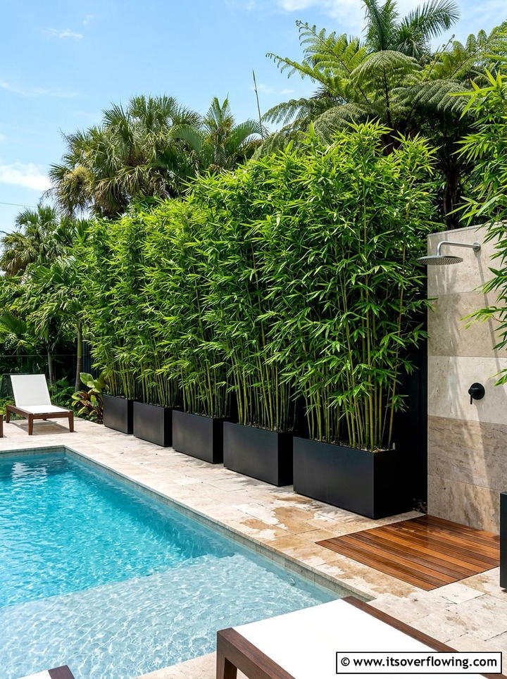 Bamboo pool privacy screen - 25 garden design ideas for pool areas