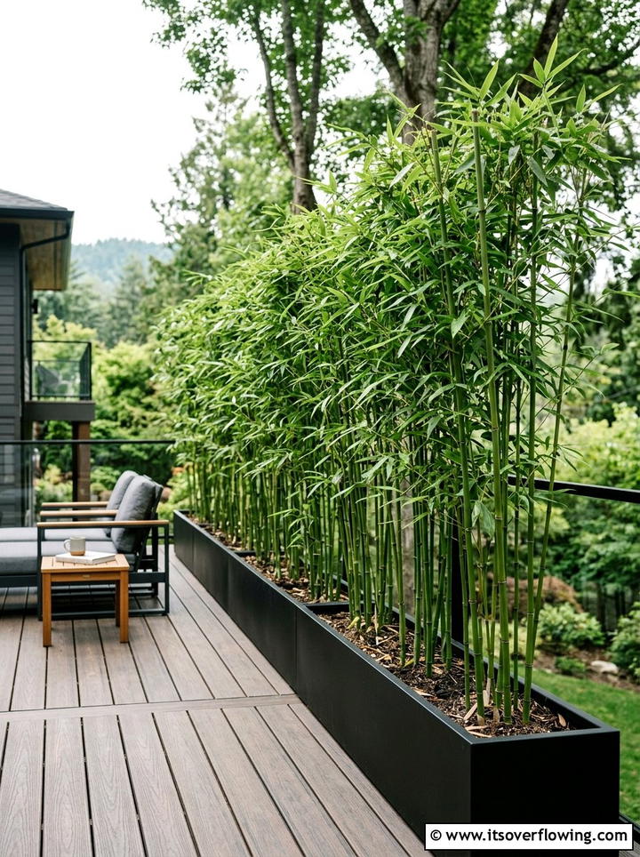 Bamboo screen - 25 garden ideas for minimalist style