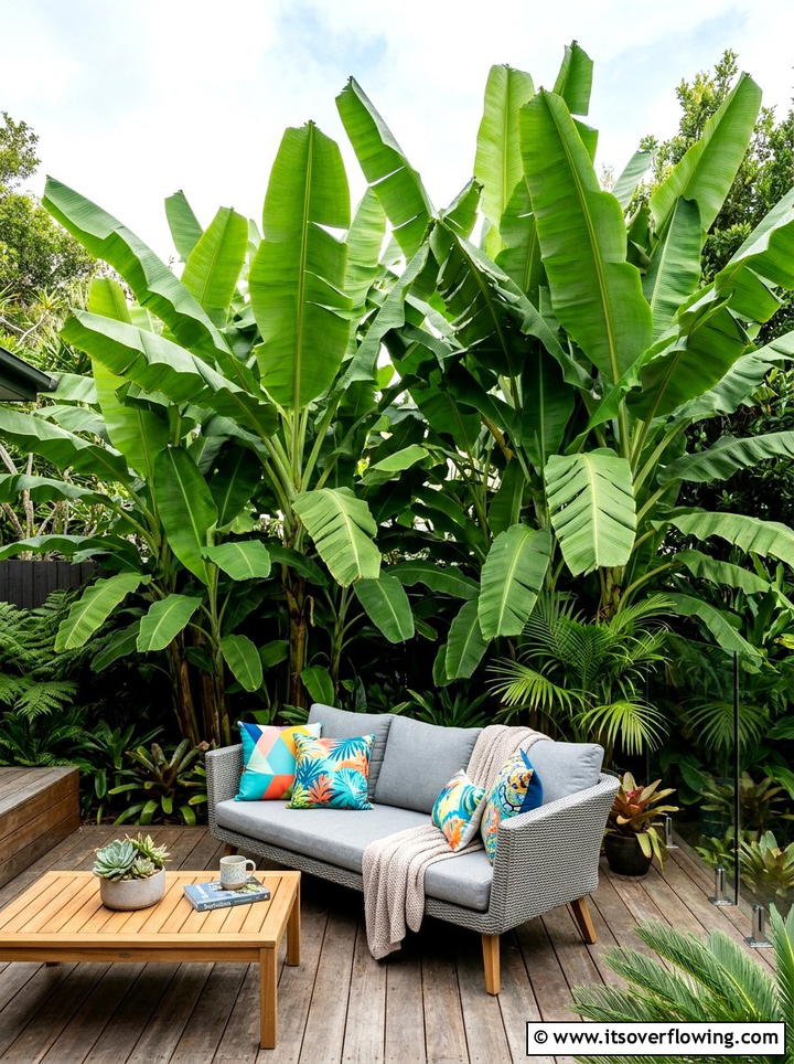 Banana Leaf Privacy Screen - 25 backyard ideas with tropical plants