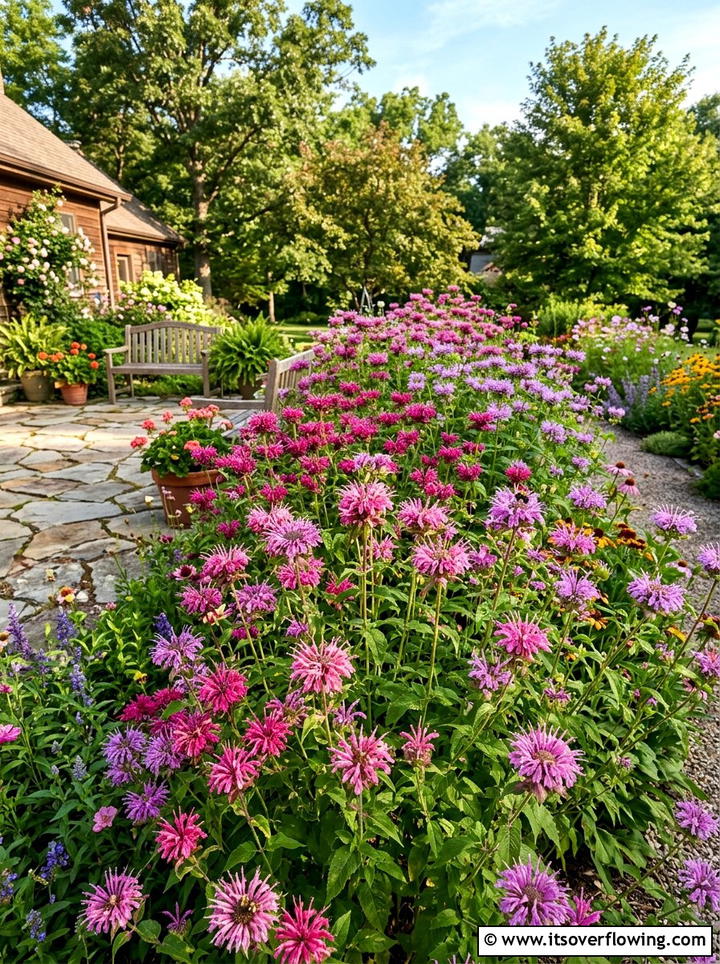 Bee Balm Planting - 25 garden ideas for hummingbirds