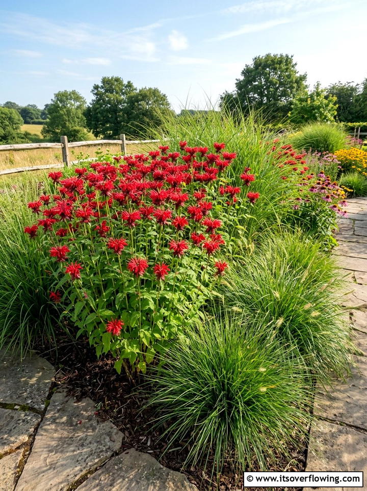 Bee balm planting - 25 garden ideas for butterflies