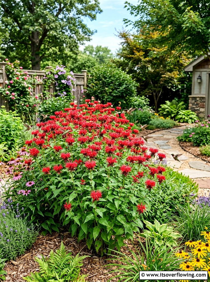 Bee balm wildlife habitat - 25 cheap garden ideas with seeds