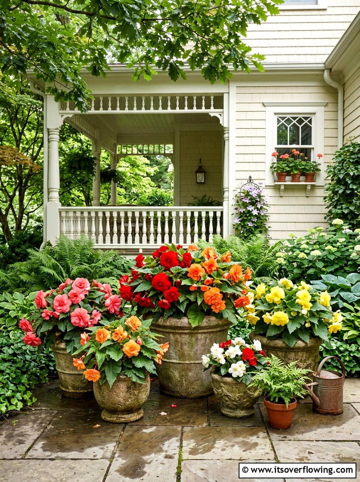 Begonia Container Garden - 25 small garden ideas for low sunlight