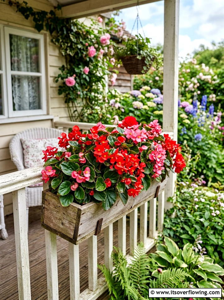 Begonia Flower Box - 25 front porch ideas with shade plants
