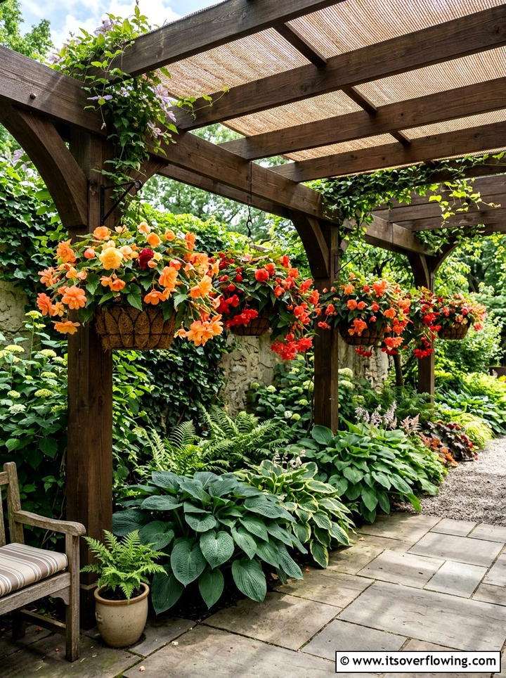Begonia Shade Solution - 25 garden ideas with hanging baskets