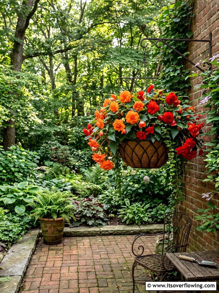 Begonia hanging baskets shade garden - 25 cheap garden ideas with hanging baskets
