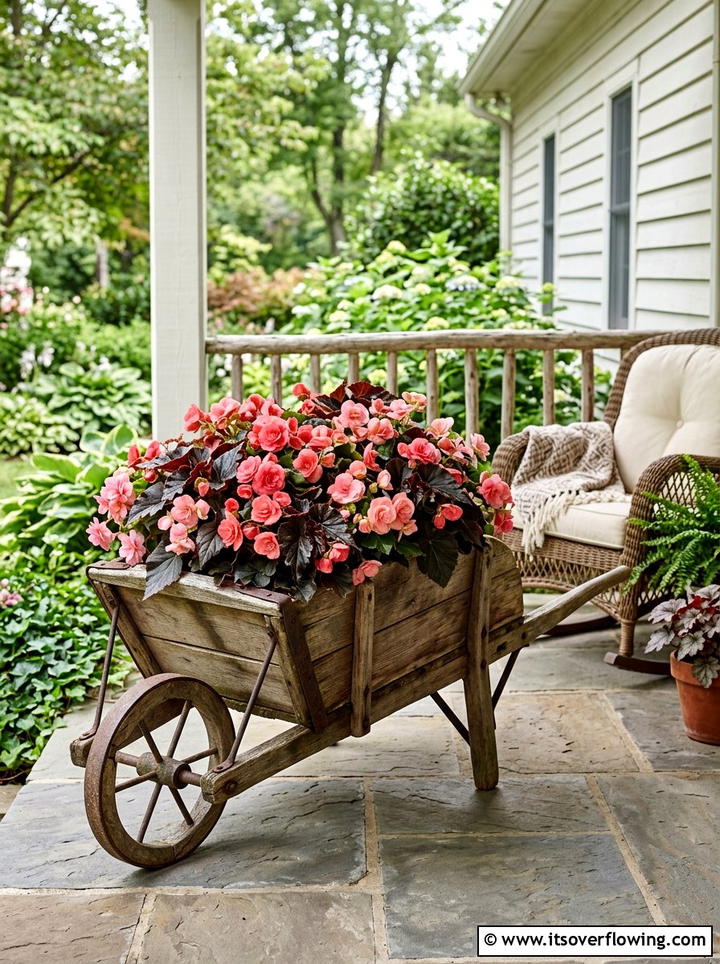 Begonia wheelbarrow display - 25 upcycled garden ideas with old wheelbarrows