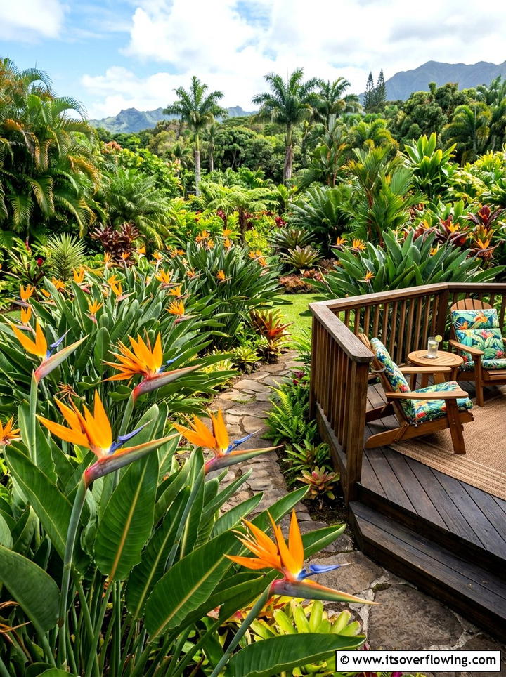 Bird Of Paradise Exotic Garden - 25 creative garden ideas with sculptural plants
