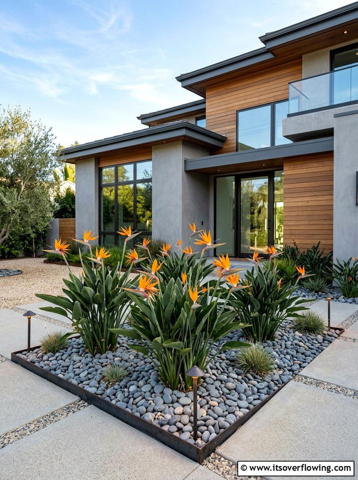 Bird Of Paradise Landscaping - 25 backyard ideas with tropical plants