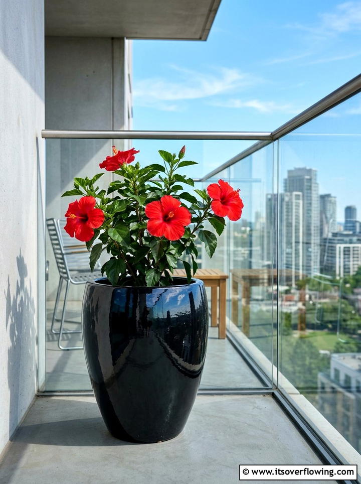 Black Glossy Ceramic Planter - 25 garden decor ideas with ceramic planters