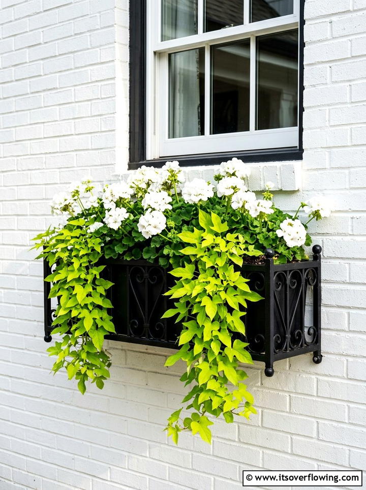 Black Metal Window Box - 25 garden ideas with window boxes