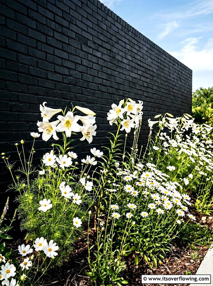 Black Painted Brick Wall With White Flowers - 25 creative garden ideas with black and white gardens