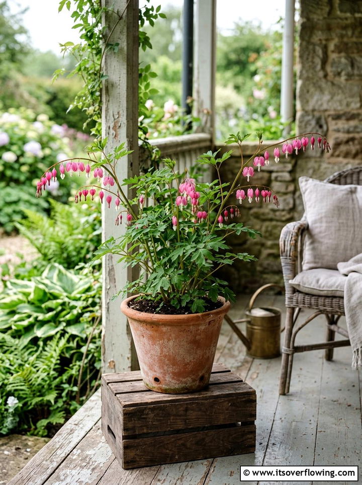 Bleeding Heart Pot - 25 front porch ideas with shade plants