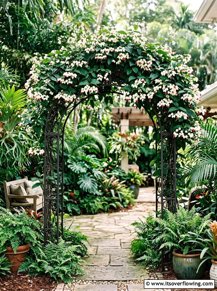 Bleeding Heart Vine Arch - 25 creative garden ideas with archway flowers