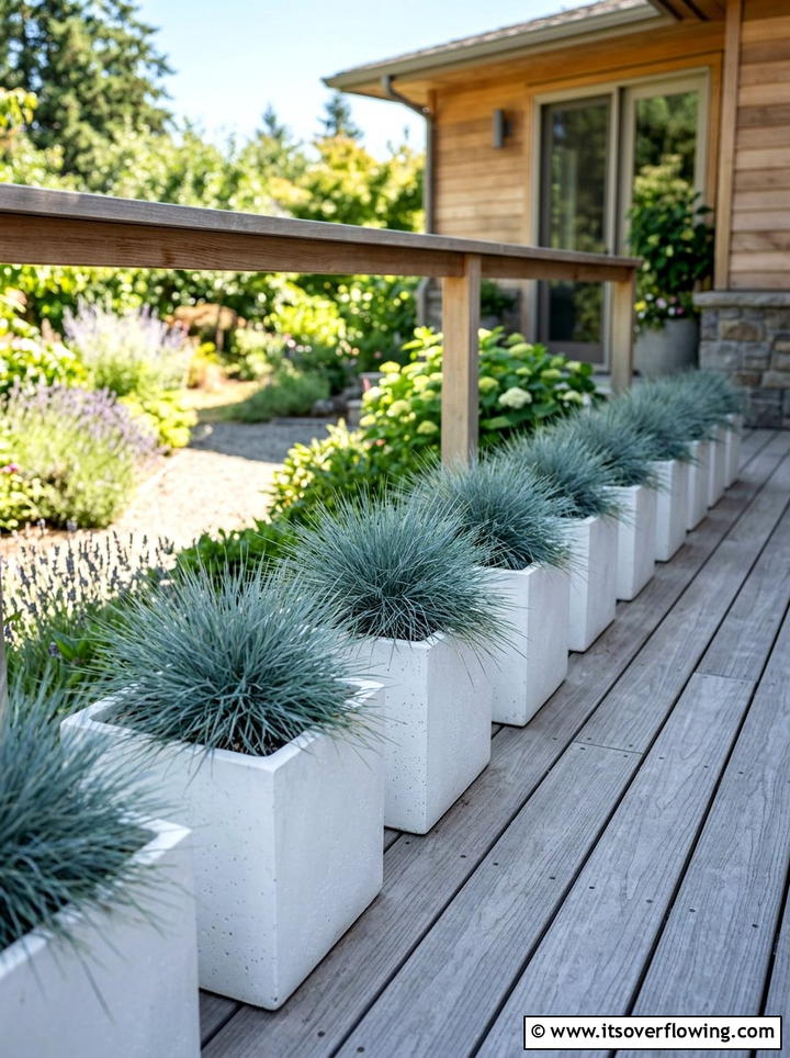Blue Fescue Grass In Geometric Containers - 25 front porch ideas with drought tolerant plants