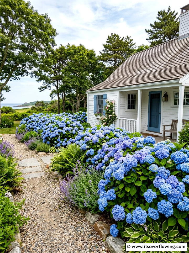 Blue Hydrangea Garden Border - 25 creative garden ideas with cottage layering