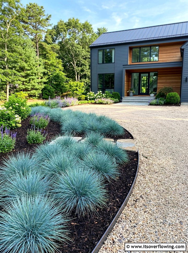 Blue Oat Grass Border - 25 garden design ideas with drought tolerant plants