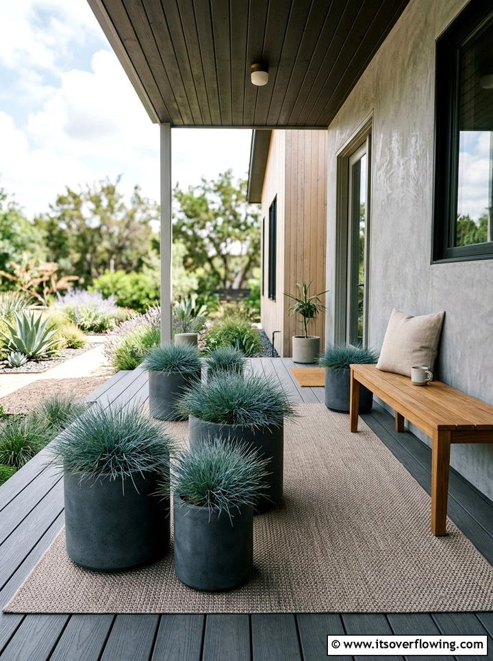 Blue fescue ornamental grass - 25 front porch ideas with cat safe plants
