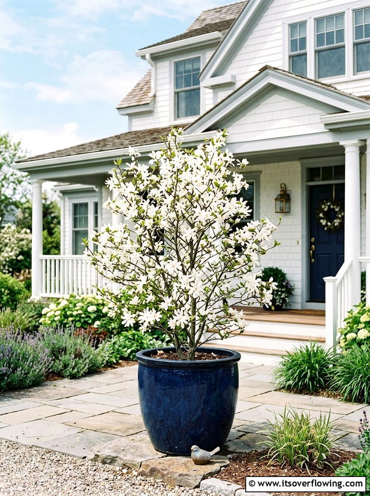 Blue planter with white flowering tree - 25 front porch decor ideas with mini trees