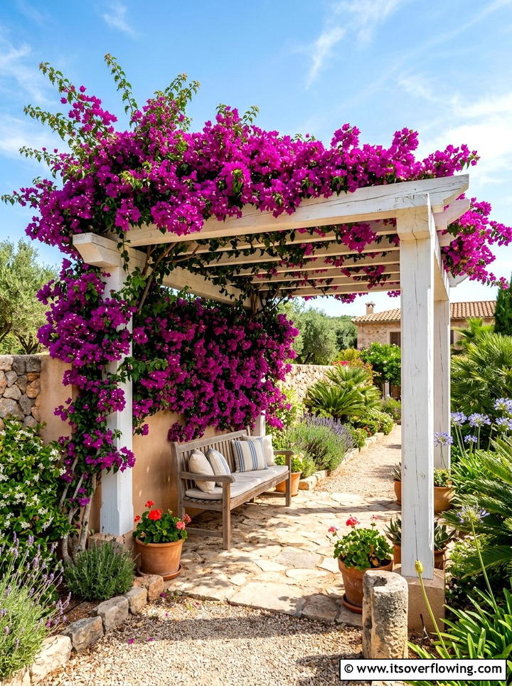 Bougainvillea Climbing Vine - 25 creative garden ideas with tropical foliage