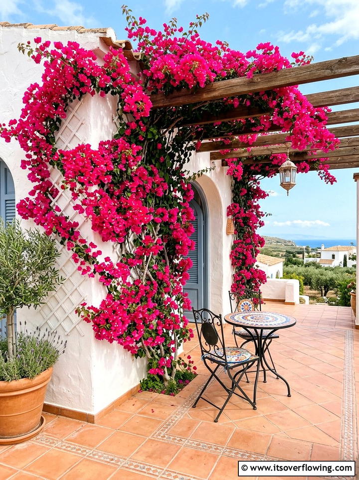 Bougainvillea Covered Porch - 25 front porch ideas with trellis vines
