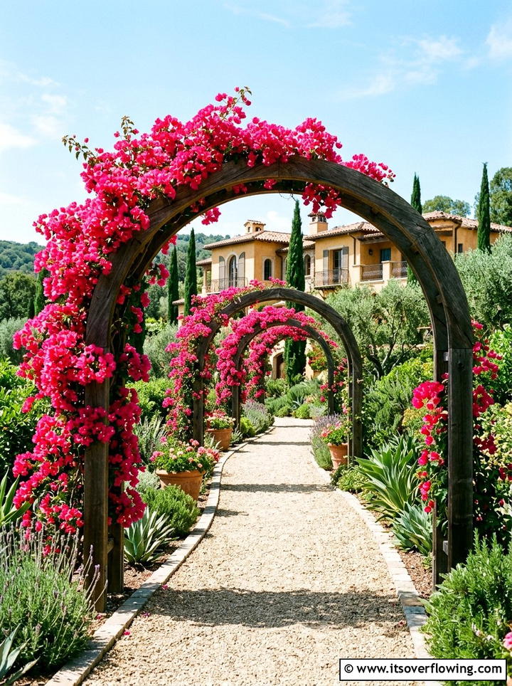 Bougainvillea Garden Path - 25 creative garden ideas with archway flowers