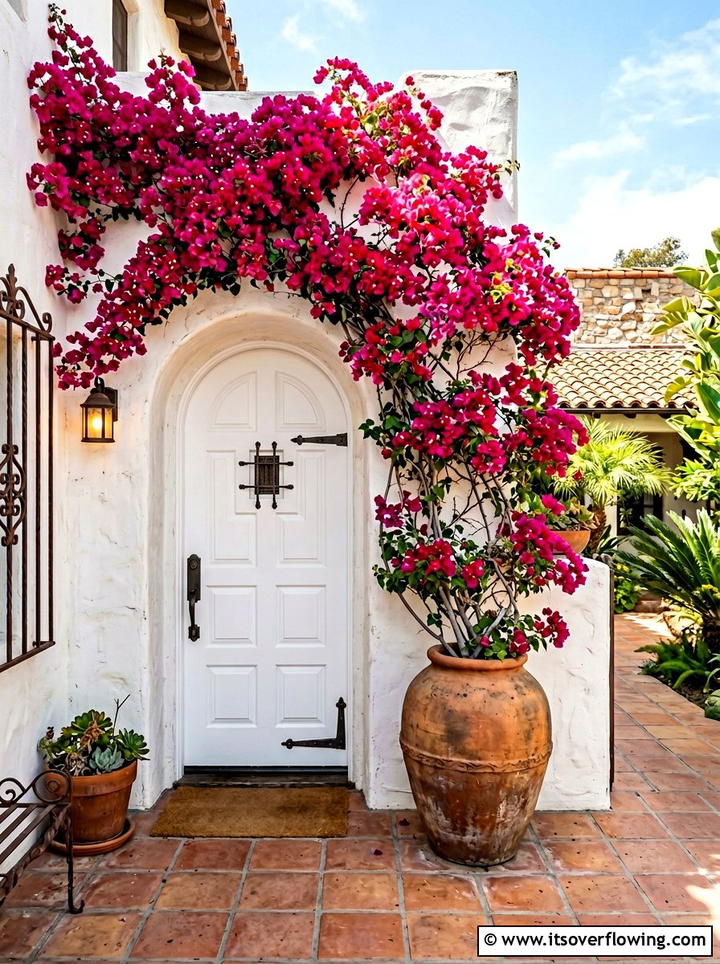 Bougainvillea for bright front entry - 25 front porch ideas with sun loving plants