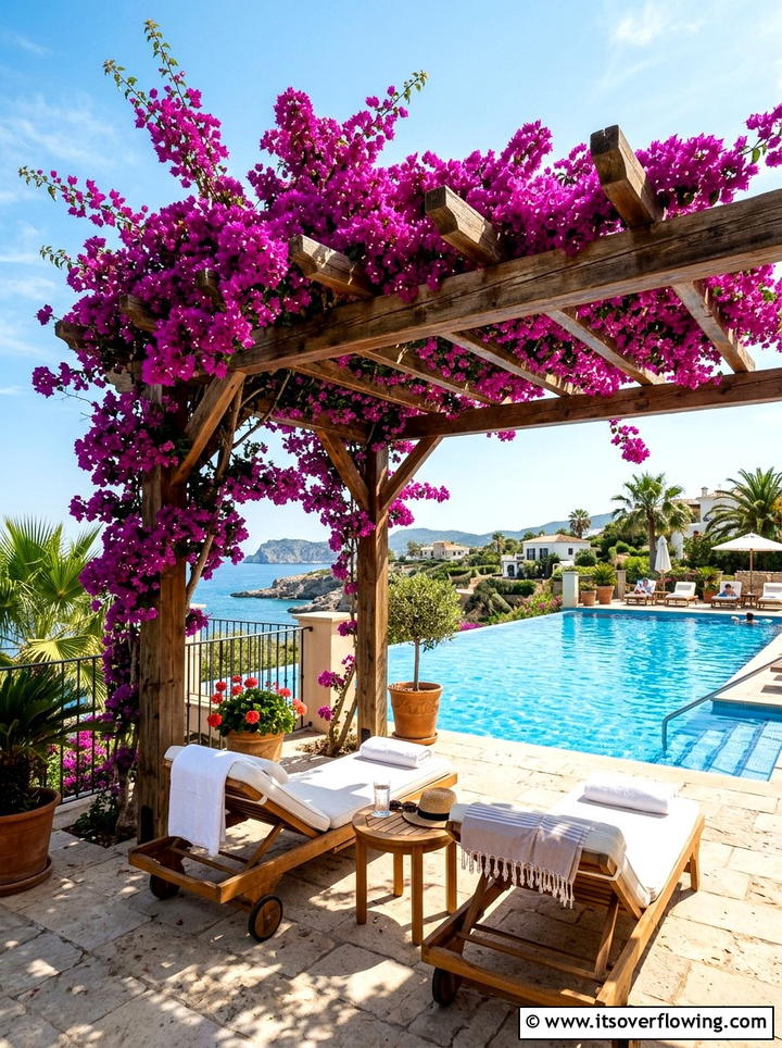 Bougainvillea terrace cover - 25 creative garden ideas with pergola vines