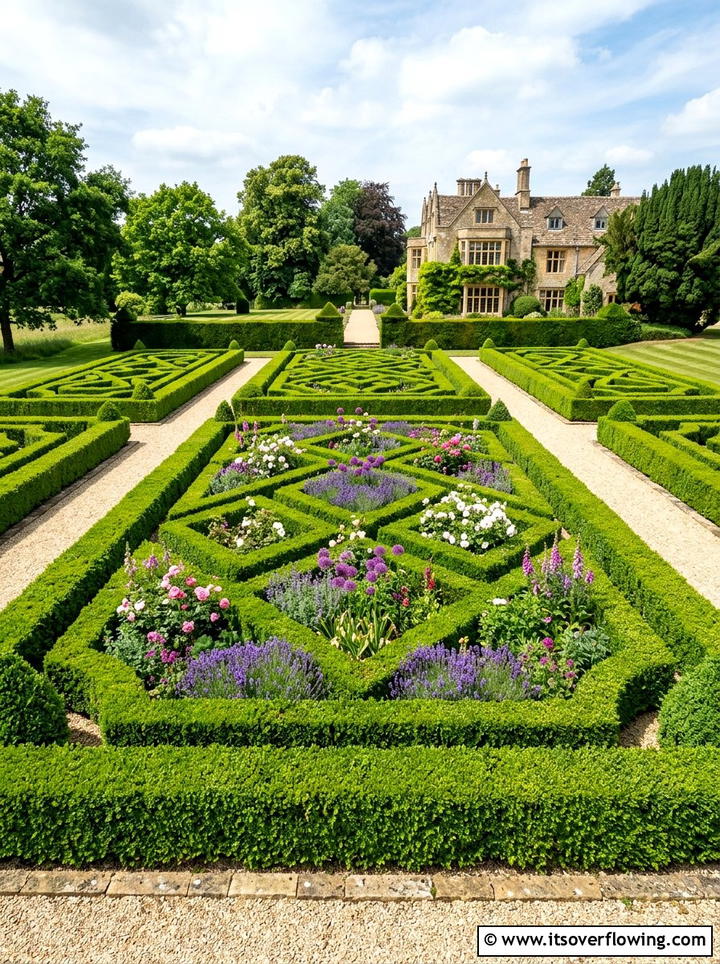 Boxwood Hedge - 25 cheap garden ideas with cuttings
