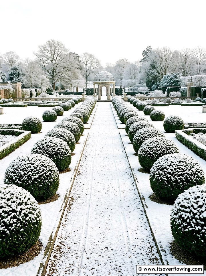 Boxwood topiary - 25 creative garden ideas for winter interest