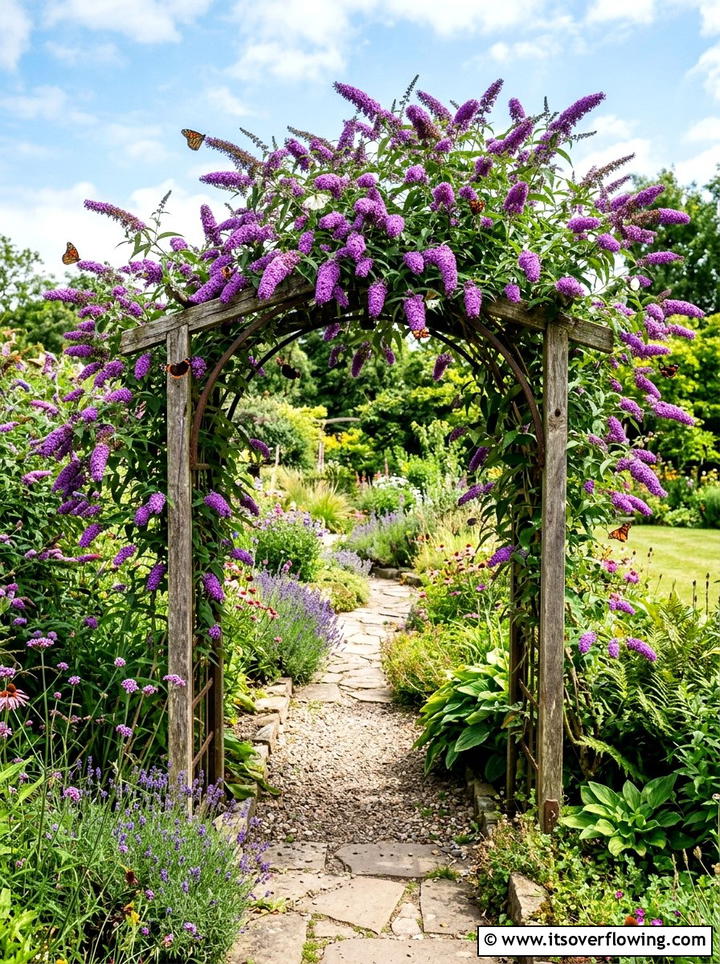 Butterfly Bush Garden Arch - 25 creative garden ideas with archway flowers
