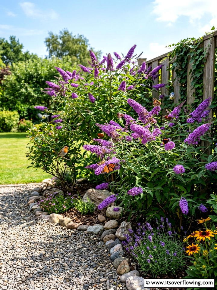 Butterfly bush corner - 25 creative garden ideas with hummingbird plants