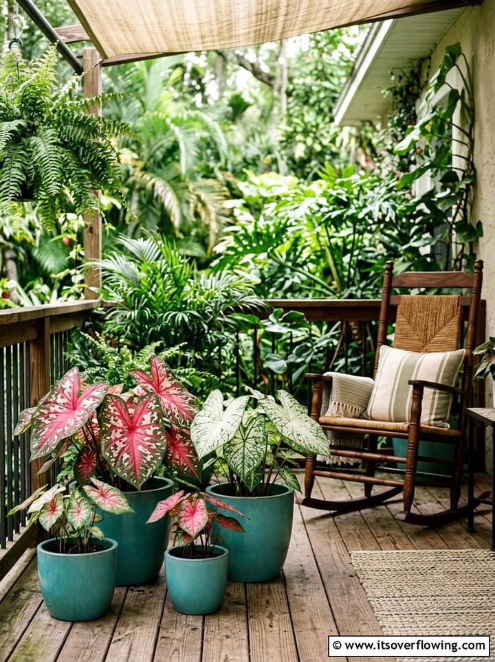Caladium Foliage Pots - 25 front porch ideas with plants