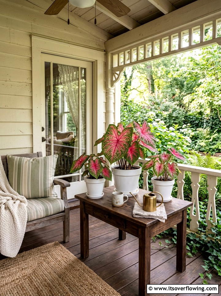 Caladium For Colorful Foliage In Shade - 25 front porch ideas with low maintenance plants