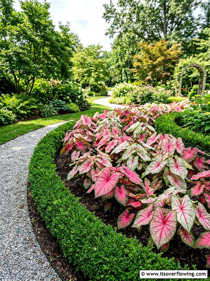 Caladium Garden Bed - 25 garden ideas for shade