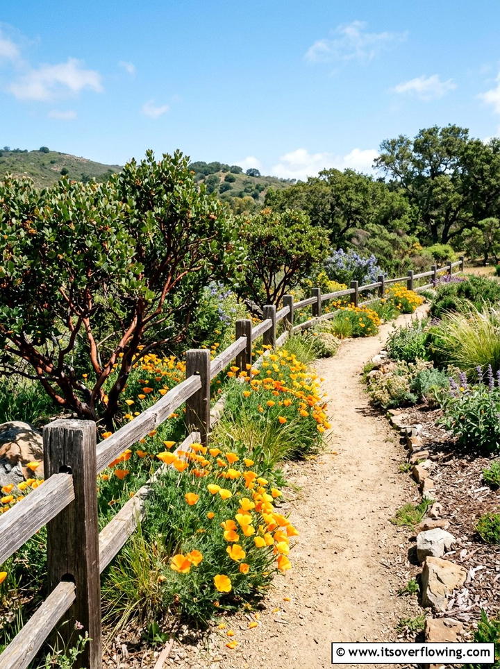California Native Plants Garden - 25 garden design ideas with low water plants