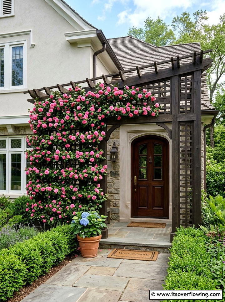 Camellia espalier on trellis - 25 creative garden ideas with espalier trees